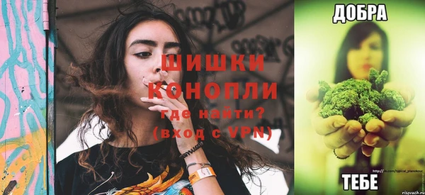 PSILOCYBIN Нязепетровск