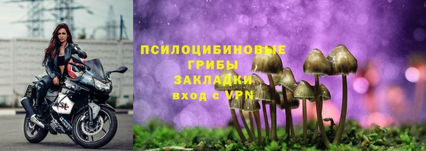 PSILOCYBIN Нязепетровск